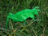 Nom du fichier=Grasshopper_Lang_Origami_Insects_and_Their_Kin.JPG
Taille du fichier=89Ko
Dimensions : 640x480
Ajouté le : 02 Mars 2009 Grasshopper_Lang_Origami_Insects_and_Their_Kin.JPG