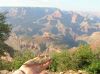 Nom du fichier=Lezard_Grand_Canyon_(1).JPG
Taille du fichier=81Ko
Dimensions : 640x479
Ajouté le : 22 Septembre 2008 Lezard_Grand_Canyon_(1).JPG