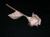 Nom du fichier=Rose_Origami_(2).JPG
Taille du fichier=47Ko
Dimensions : 640x480
Ajouté le : 31 Mars 2008 Rose_Origami_(2).JPG