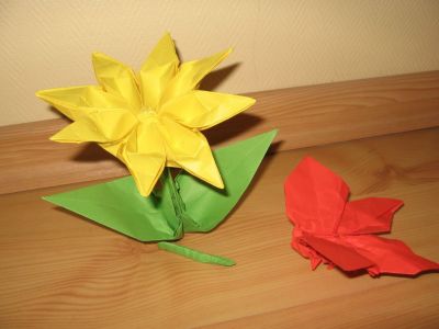 fleur et papillon
