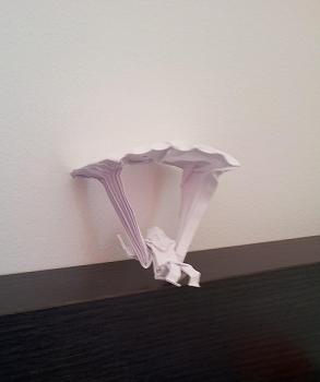 Parapentiste
Création en box pleating à partir d'un rectangle 1:4
Mots-clés: pedrolino parapente box pleating