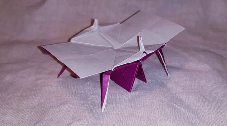 Table de ping pong de Naoki
kami 15*15
