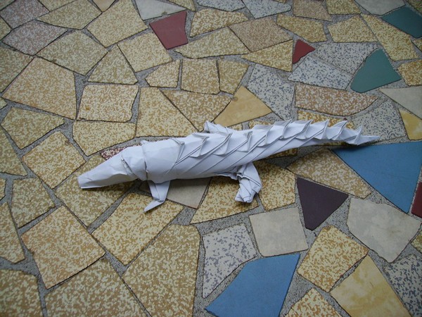 Crocodile
plié dans un carré de craft fin de 35cm
