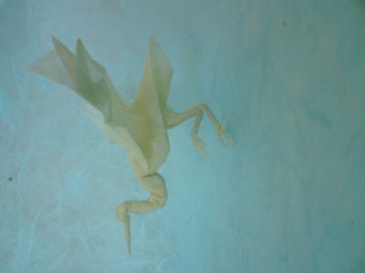 Grue de Roman Diaz
Plié dans un carré de papier de soie de 21*21 cm passé au MC et wet-folding pour la finition du bec et des pattes.
