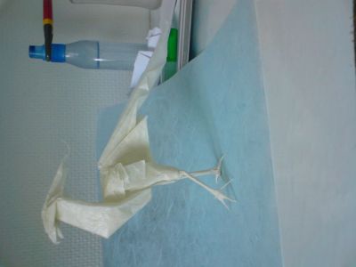 Serpentaire de Roman Diaz
Plié dans un carré de papier de soie de 35*35 cm passé au MC.
