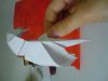 DSC00164.JPG