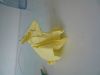 DSC00175.JPG