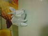 DSC00176.JPG