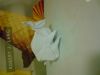 DSC00177.JPG