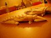 crocodile.jpg