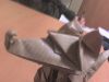 DSC00645.JPG