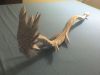 DSC00897.JPG