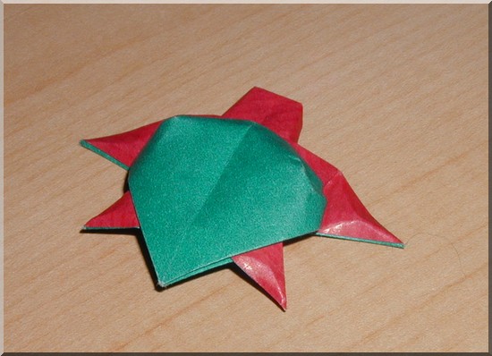 Tortue
Tortue - Papier kraft
