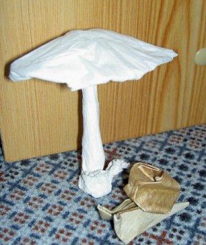 Champignon et escargot
Un petit champignon fait à partir d'une serviette en papier en froissant et un petit escargot.
