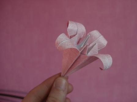 fleur
