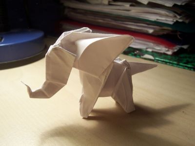 dumbo
