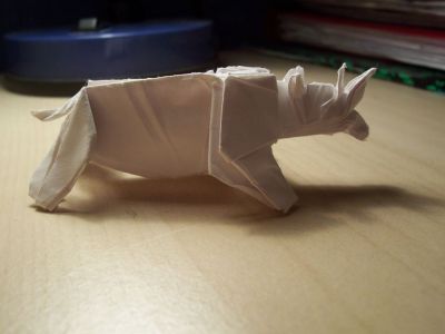 rhinocéros
