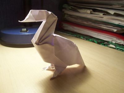canard
