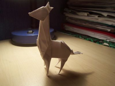 girafe
