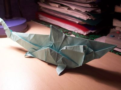 requin
