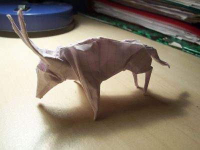 oryx
