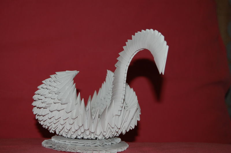 mon 1er cygne modulaire
