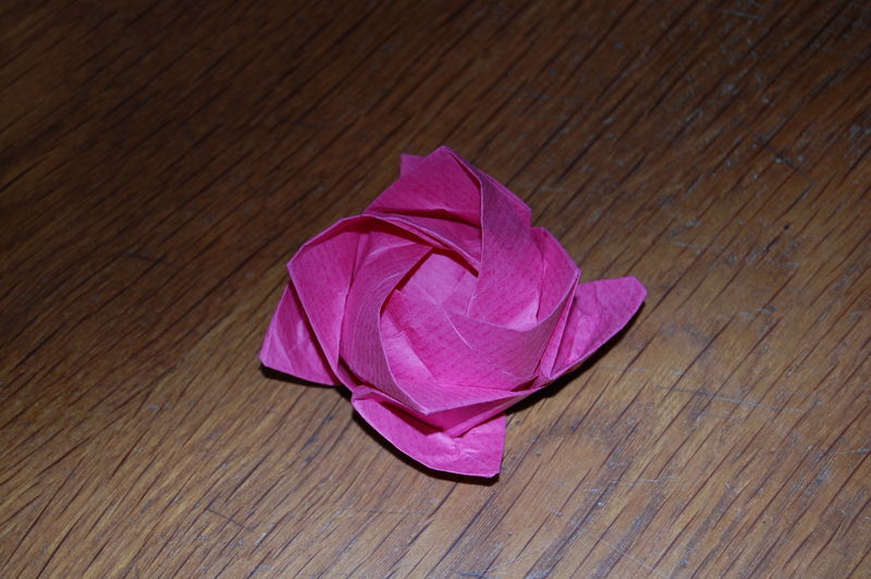 Ma premiere rose kawasaki
Voilà ma toute première rose kawasaki.J'y ai mis du temps, mais j'y suis arrivé!


