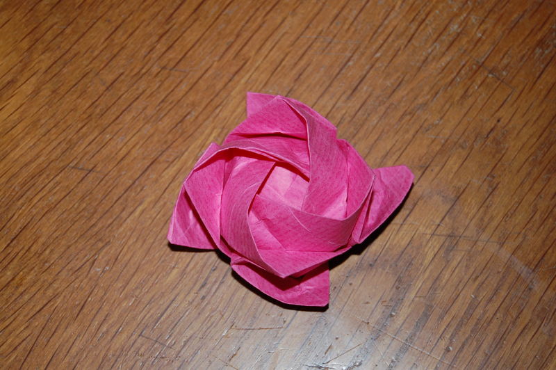 la même rose mais angle de vue different
C'est toujours la même rose!
