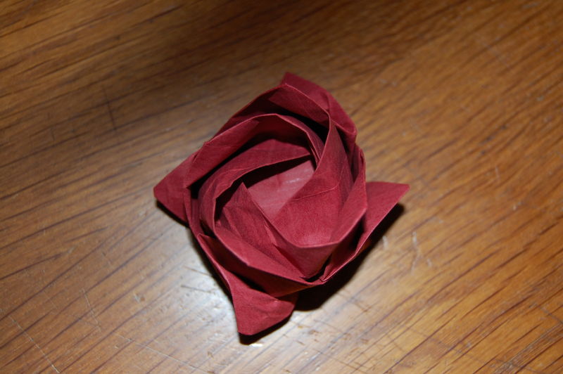 rose kawasaki
Ma deuxième rose kawasaki faite dans une autre couleur que je trouve beaucoup plus jolie.
