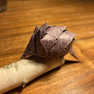 Pangolin
