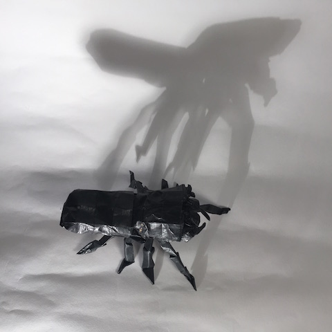 2B7FD824-3D62-405C-B999-9799295F275F.jpeg