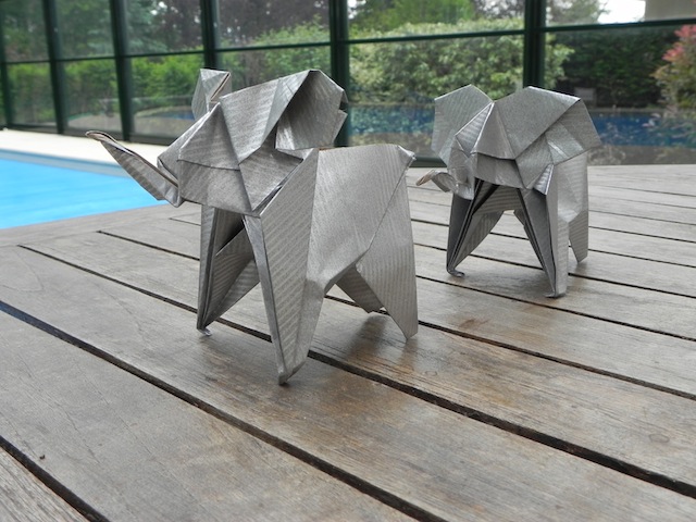 DSCN5206.JPG
