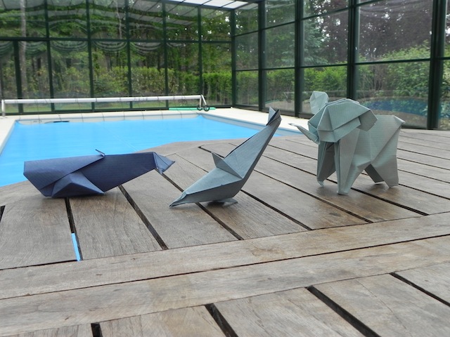 DSCN5207.JPG