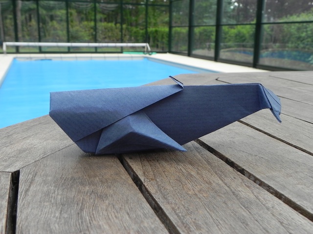 DSCN5208.JPG
