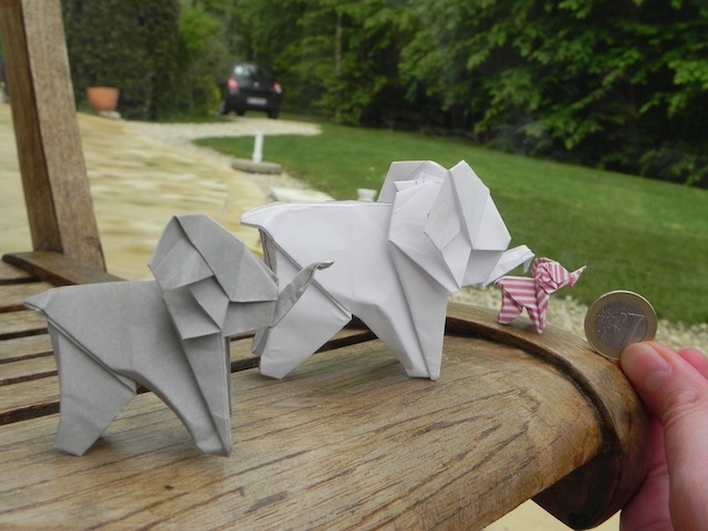DSCN5229.JPG