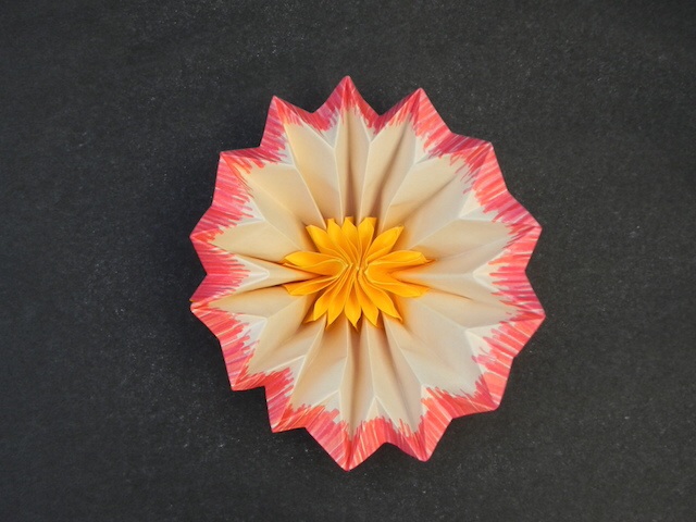 image~167.jpg