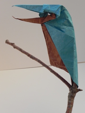 image~171.jpg