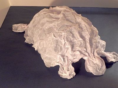 image~101.jpg