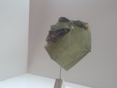 image~116.jpg