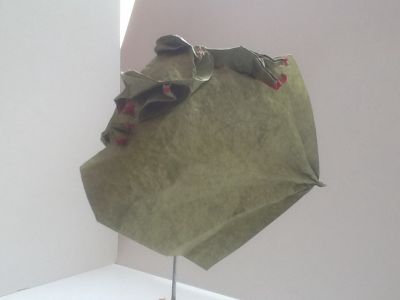 image~117.jpg
