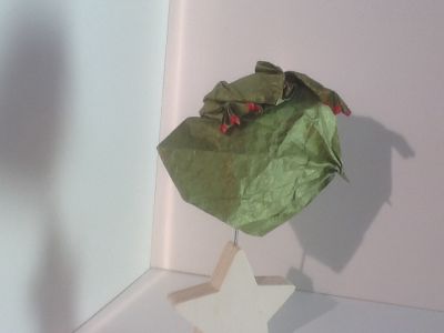 image~120.jpg