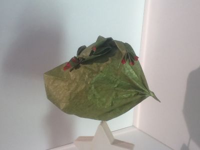 image~121.jpg