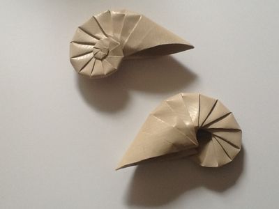 image~20.jpg