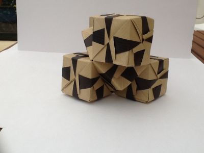 image~62.jpg