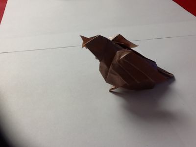 image~63.jpg