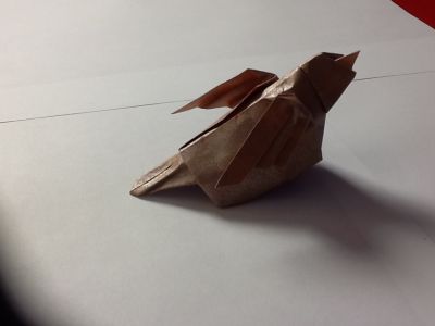 image~70.jpg