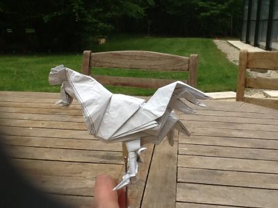 image~75.jpg