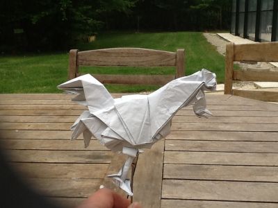 image~76.jpg