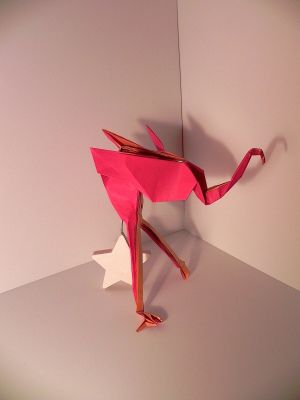 image~97.jpg
