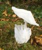Nom du fichier=5CDF4A30-BABF-440A-A254-B0CB47053964.jpeg
Taille du fichier=539Ko
Dimensions : 1731x2048
Ajouté le : 15 Octobre 2017 5CDF4A30-BABF-440A-A254-B0CB47053964.jpeg